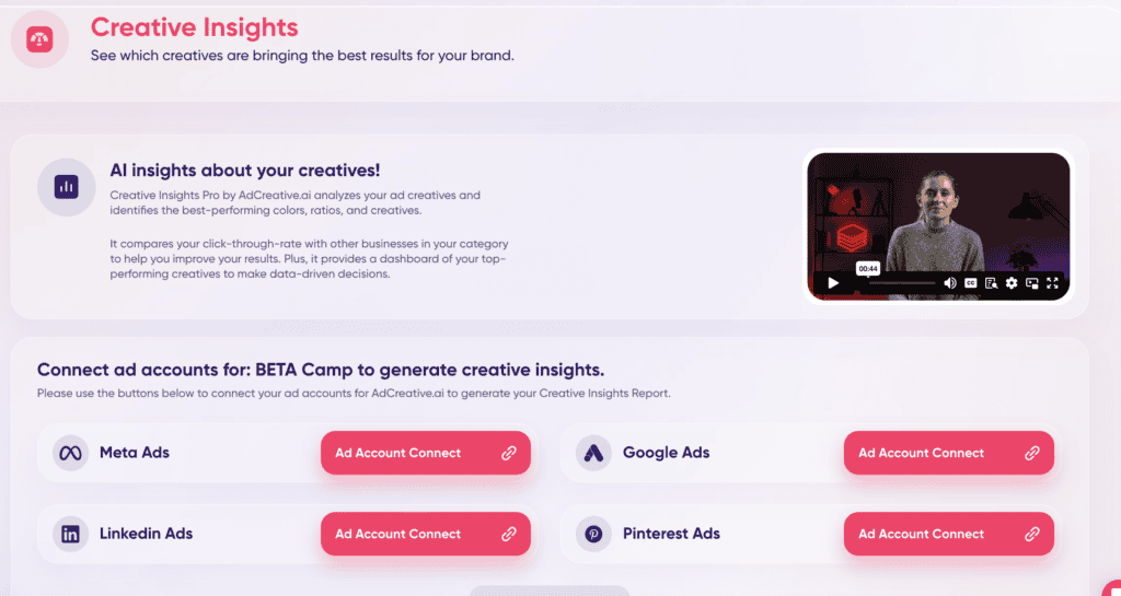 Creative Insights Pro for Performance Optimization (This was a game-changer)