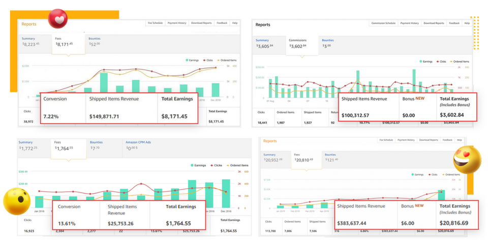 AzonNinja-Review-Profit-Results