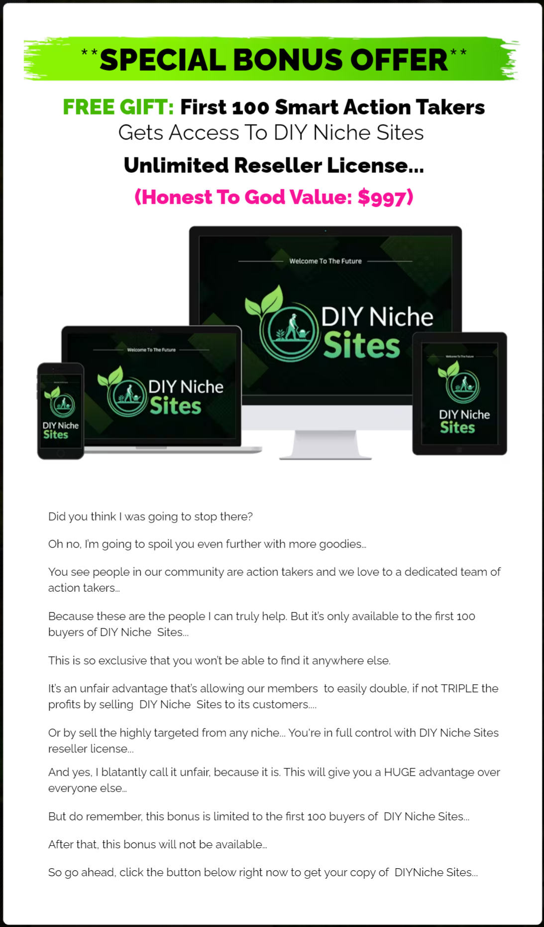 diy-niche-sites-review-bonus