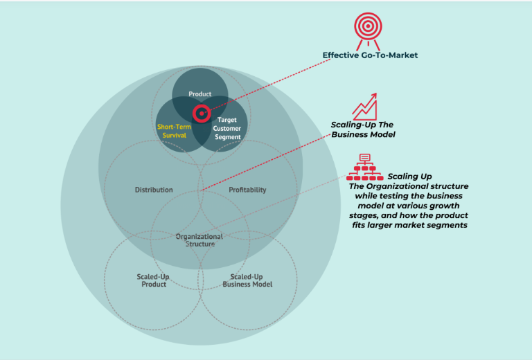 Understanding the Basics - How to Scale Your Online Business